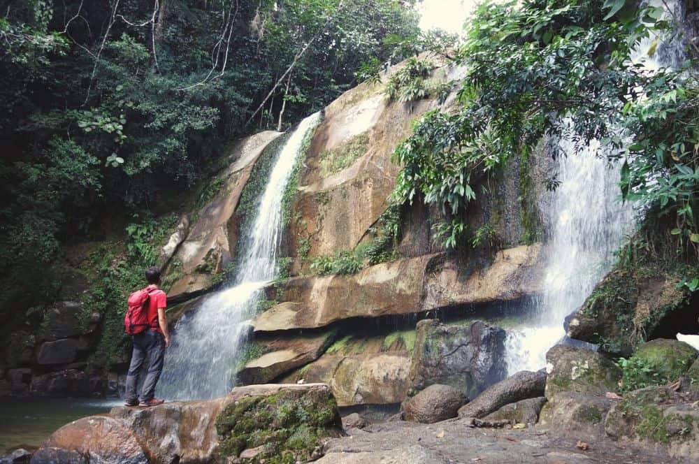 La Viejita San Carlos