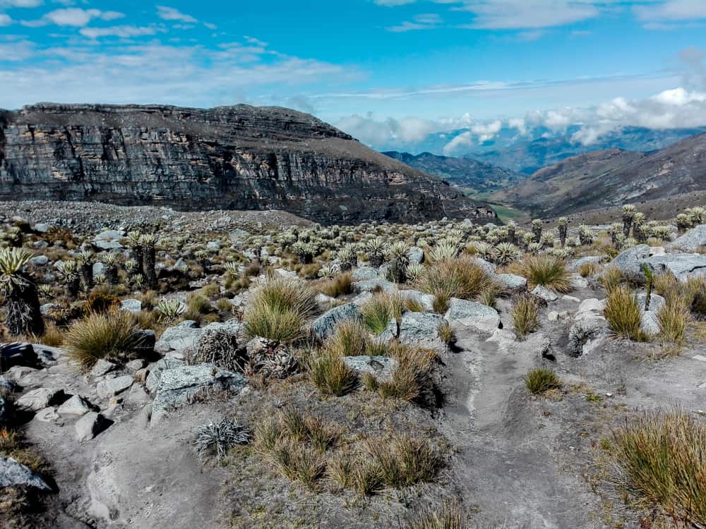 Landscape In The Sierra Nevada Del Cocuy