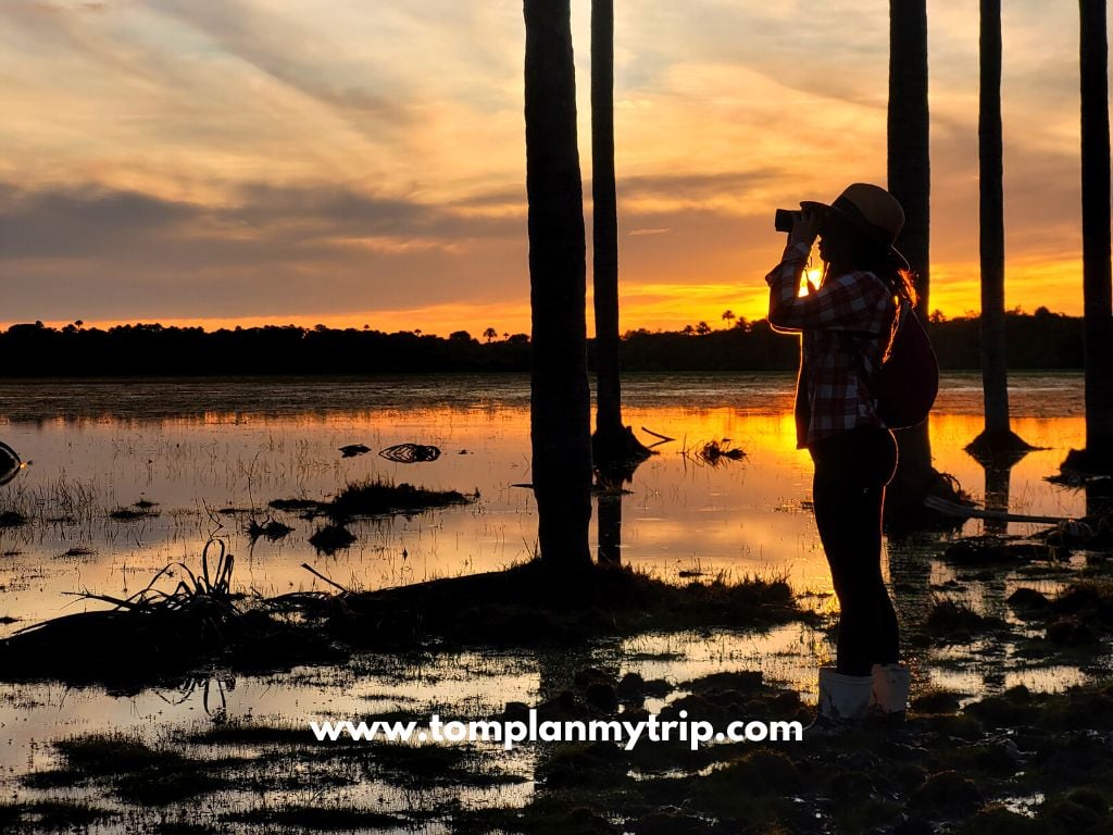 Los Llanos altagracia Sunset