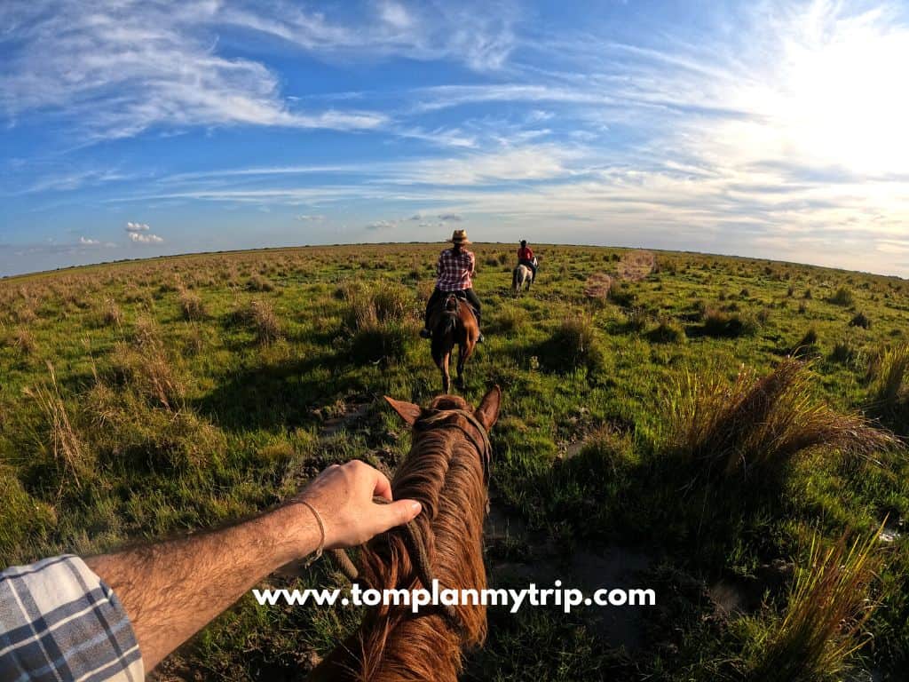 Los Llanos Hato Mata de palma horseback riding (1)