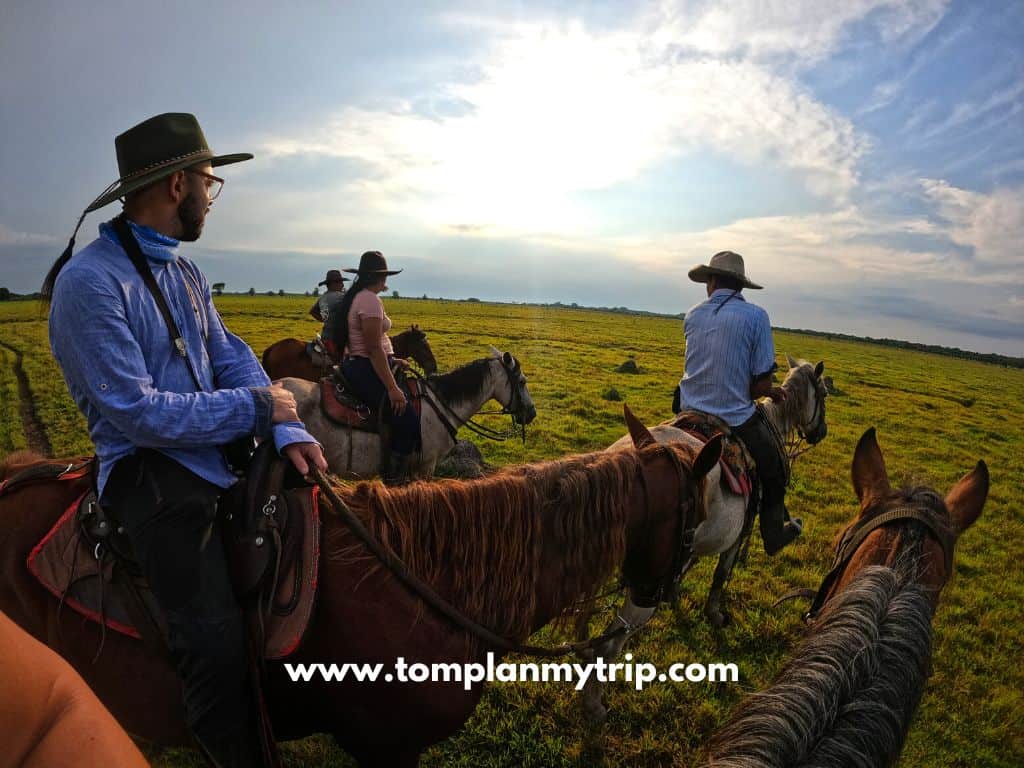 Los Llanos Hato Montana llaneros (1)