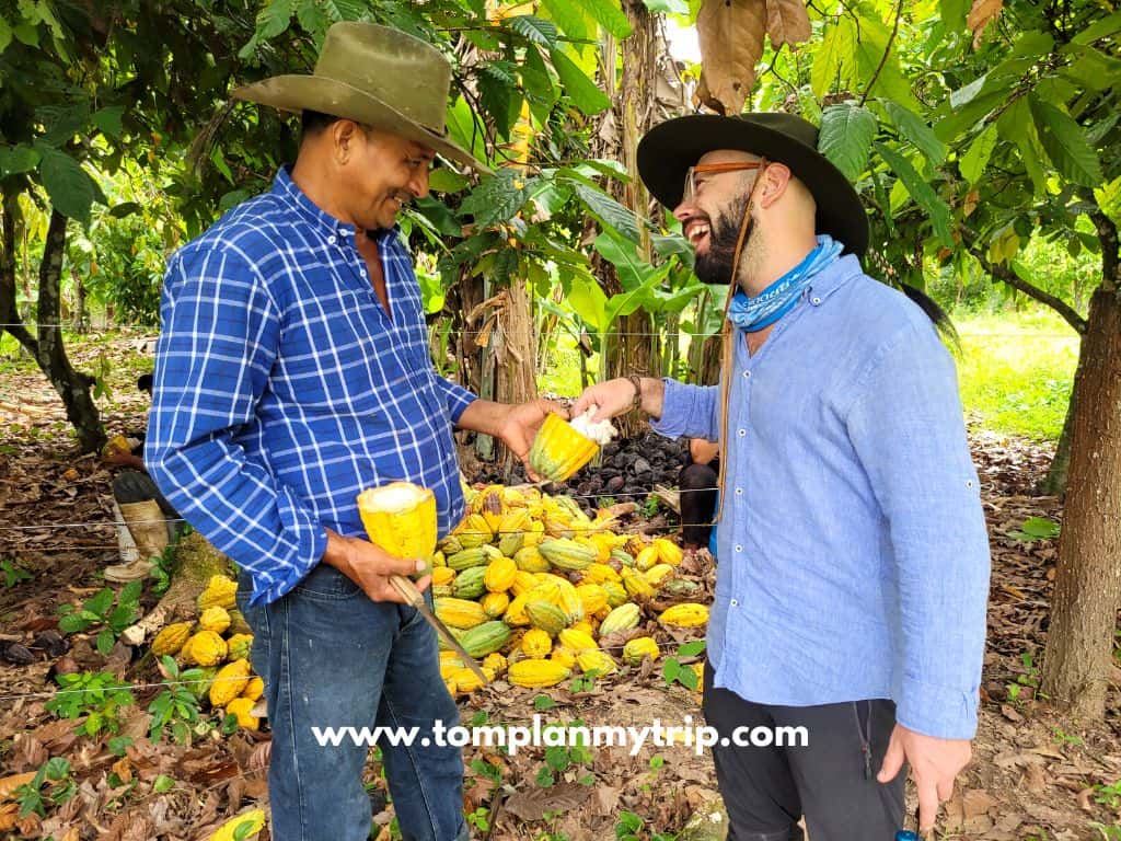 Los Llanos museo llanerazo seco tom cacao (1)