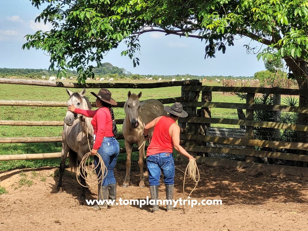 Los Llanos Orientales (4)