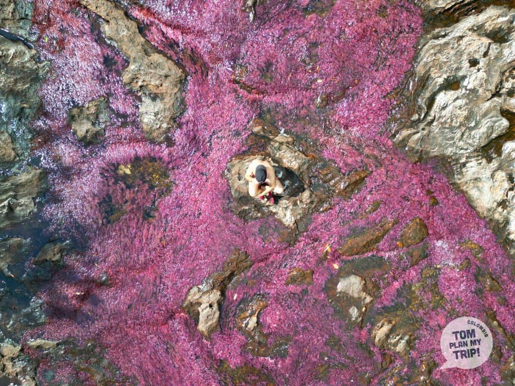 Los Llanos Orientales Colombia - Yarumales - Siete Machos - Ojos de dios