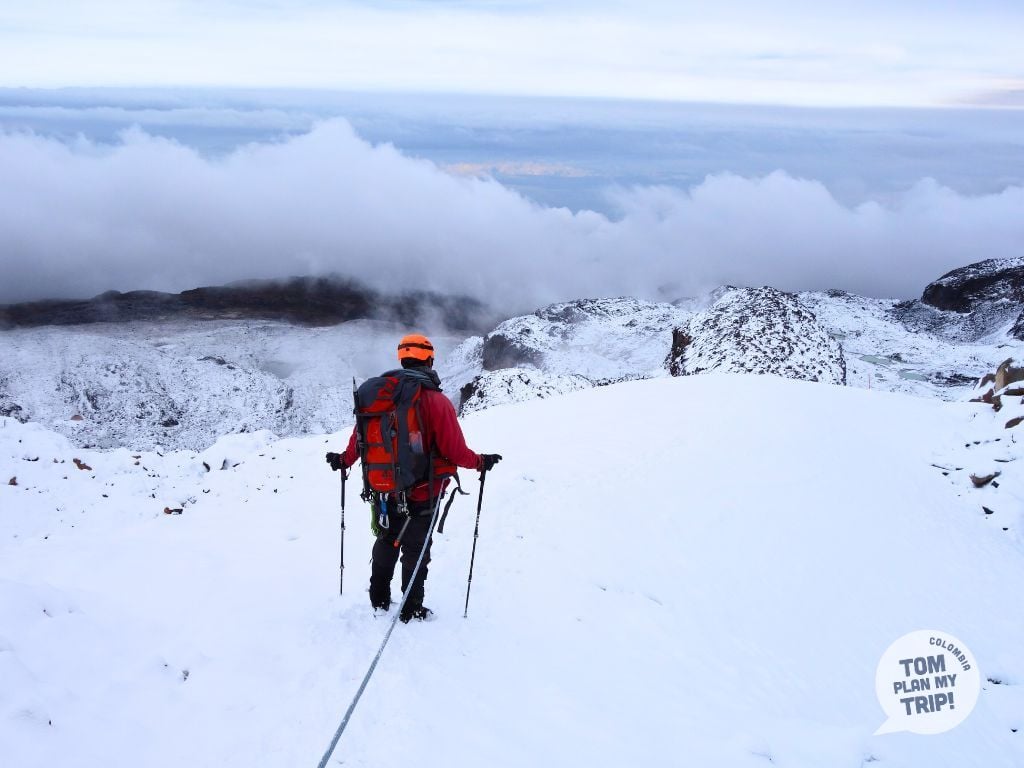Los Nevados Natural Park Coffee Region