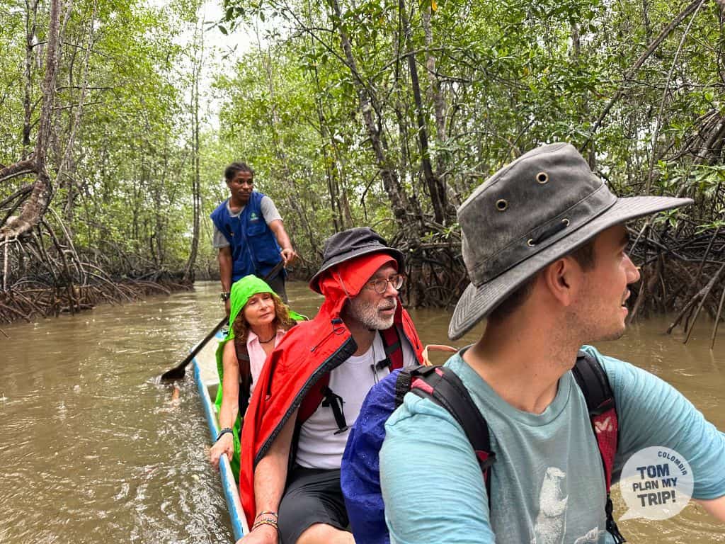Mangroves Coqui Pacific Coast Colombia (2)