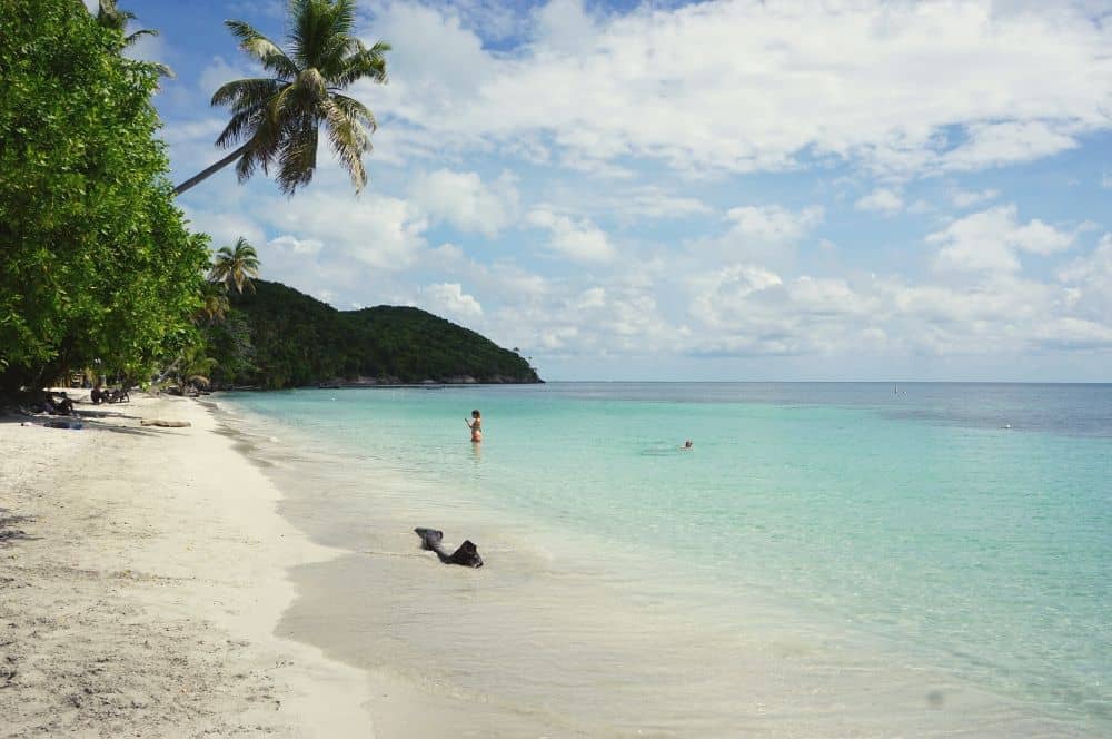 Manzanillo Providencia