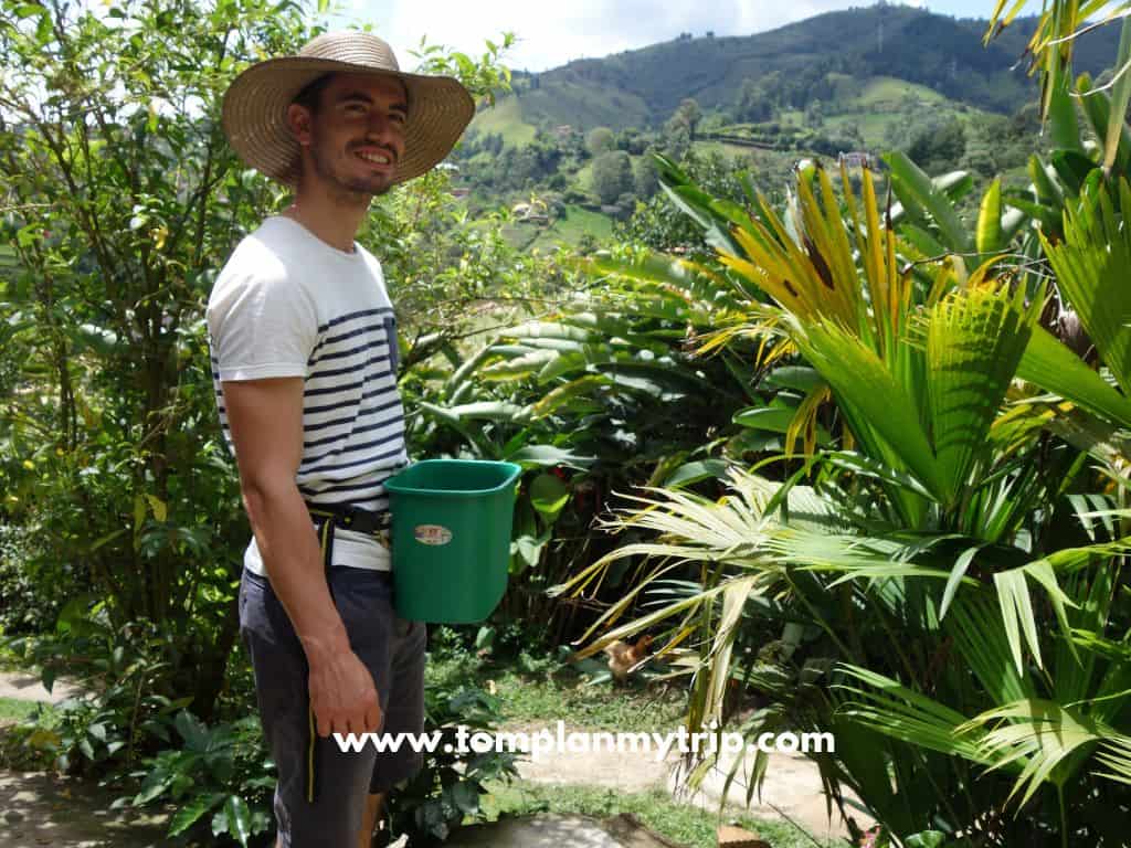 Medellín - coffee experience