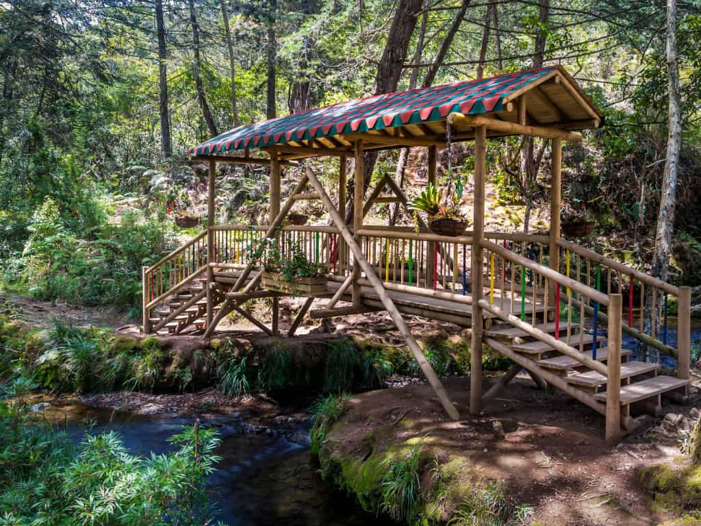 Medellin PARQUE ARVI (1)