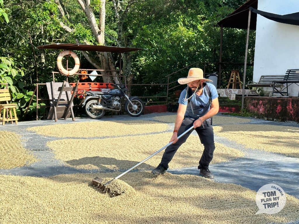 Minca Colombia - San Rafael farm - East Caribbean coast - Tom