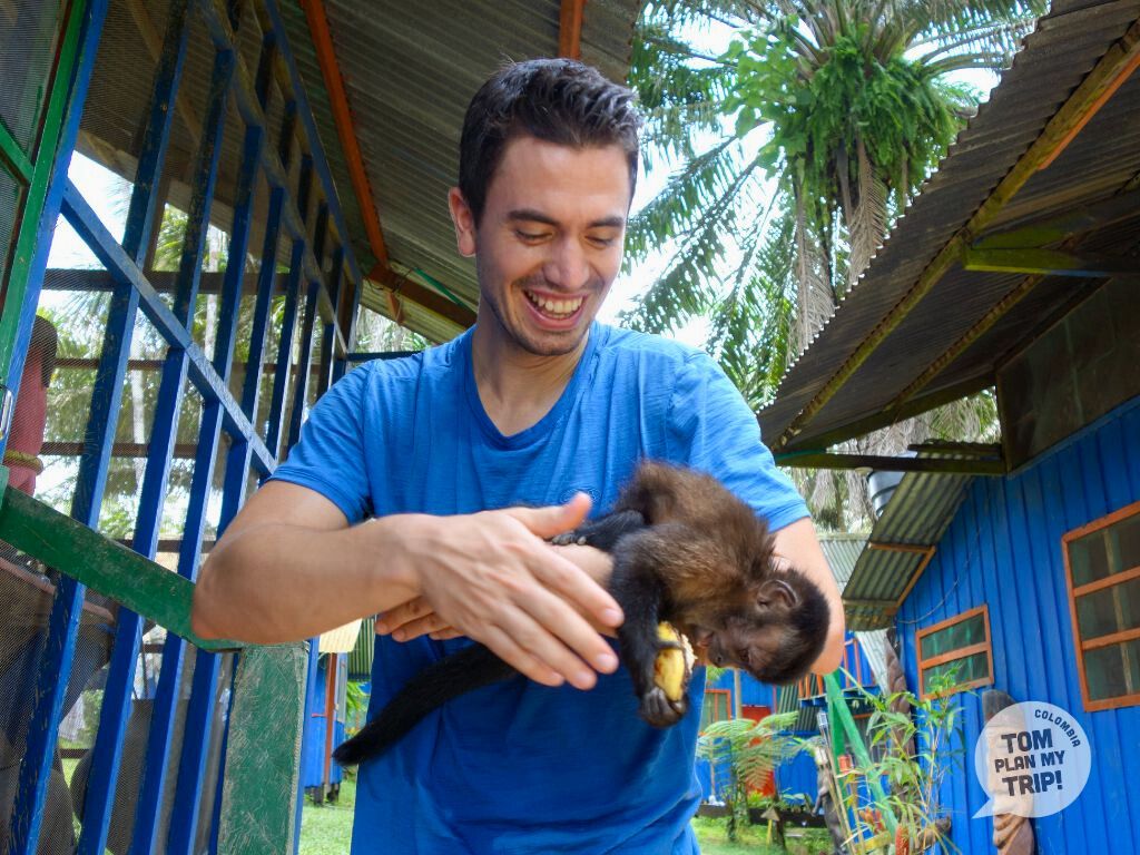Mokey in Cabaña Aguila Puerto Nariño Amazon Colombia - Adrien