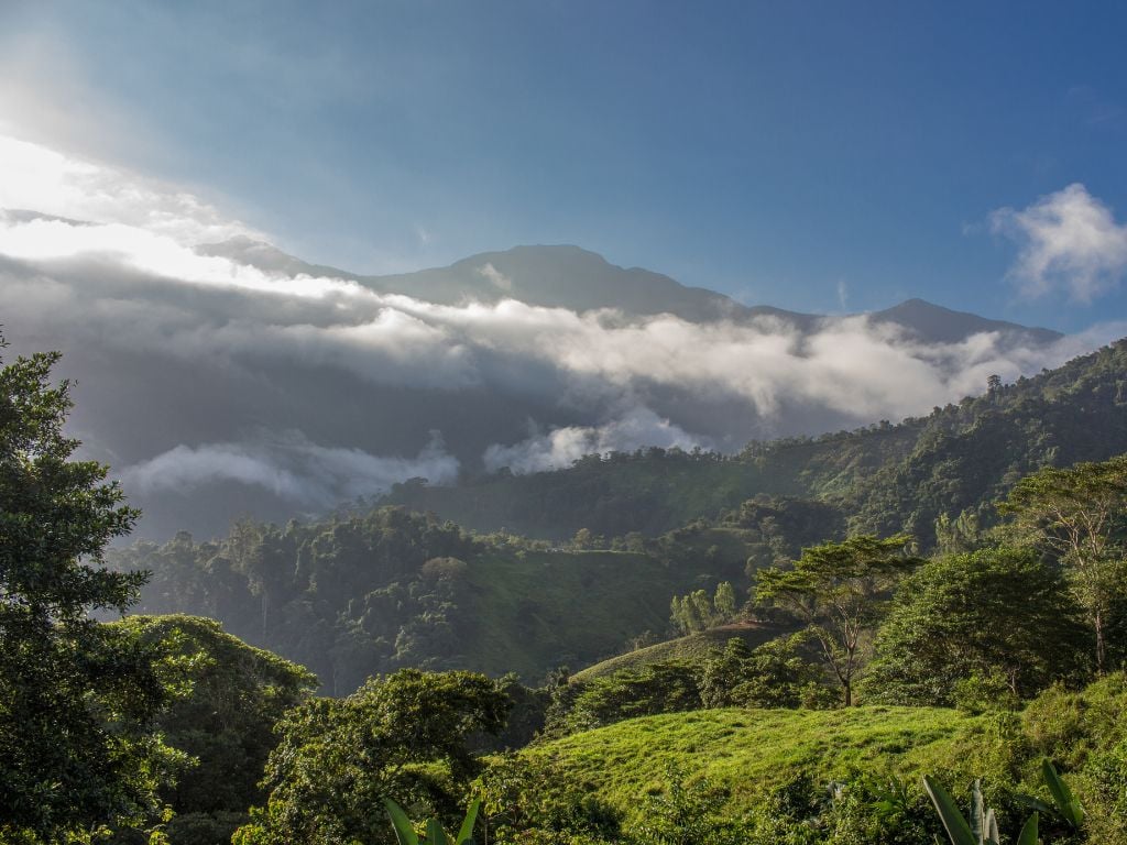 Mountains-Ciudad-Perdida-Lost-City
