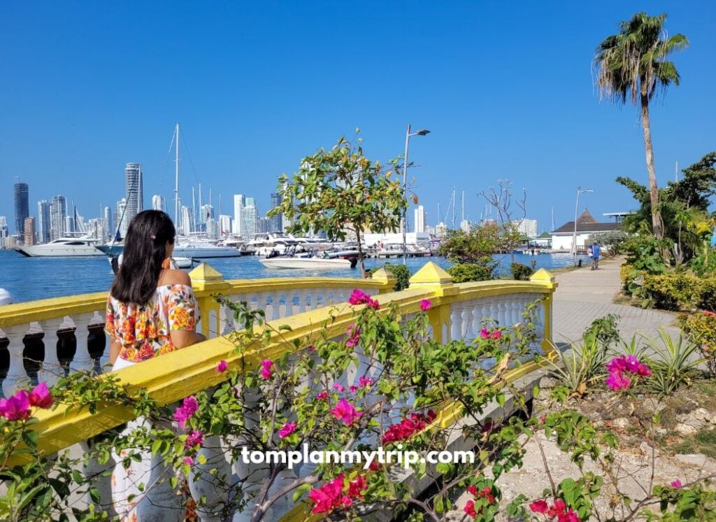 Muelle-de-Manga-Cartagena-1