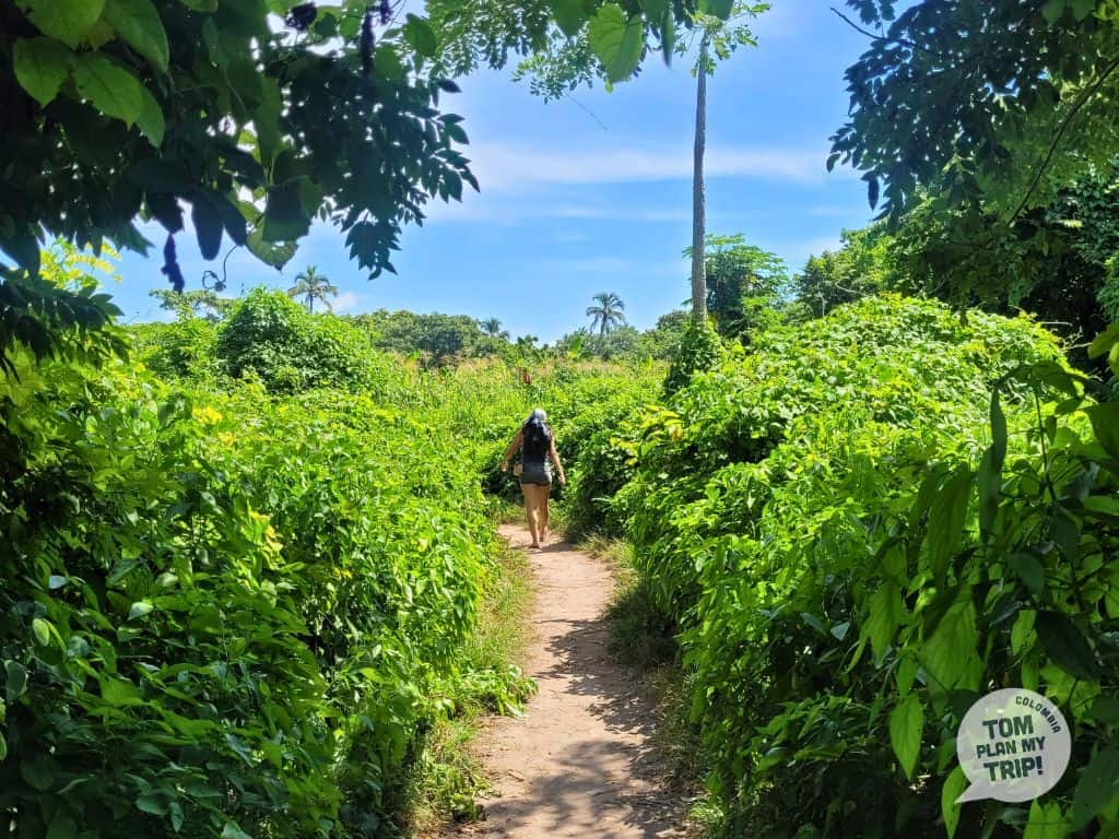 Orika - Isla Grande in Rosario Islands - Cartagena Colombia - Eastern Caribbean Coast