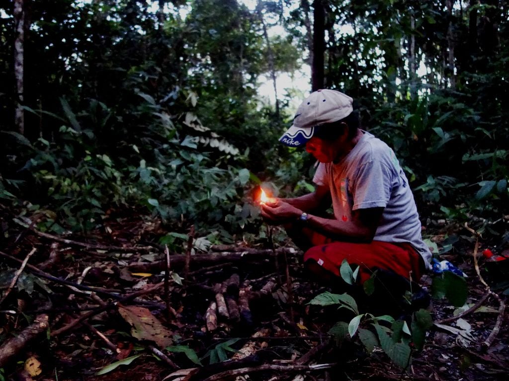 Palmari_Amazon_Jungle