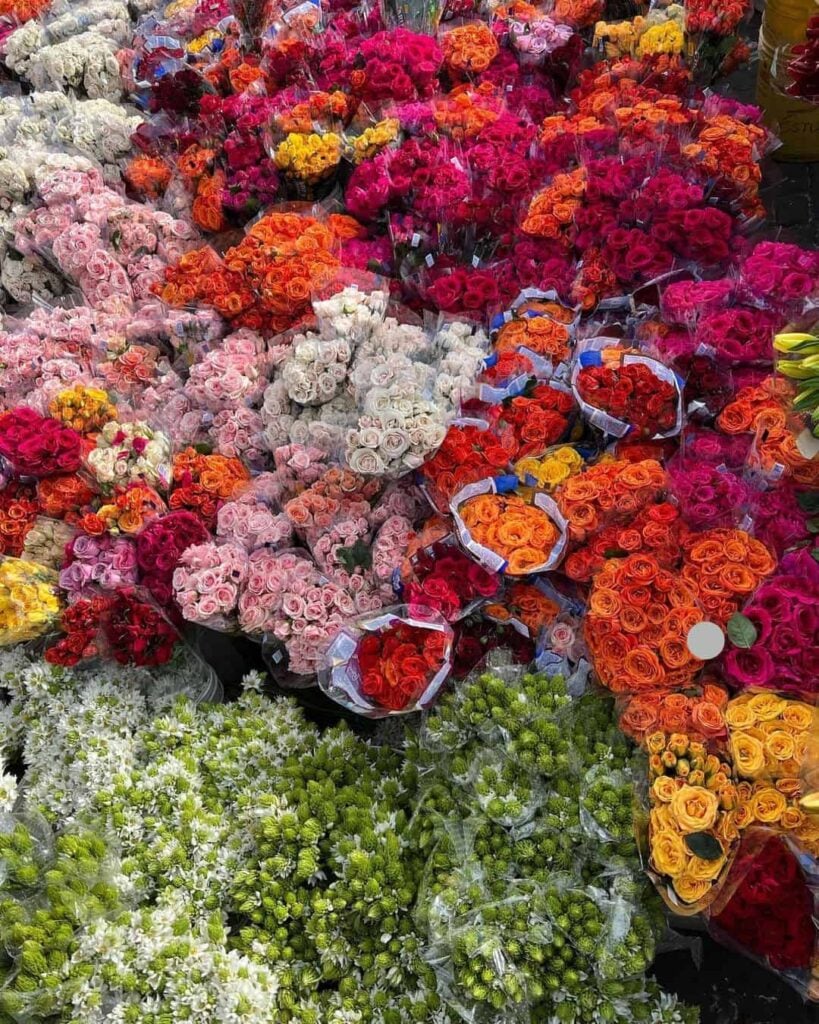 Paloquemao Market - Bogota (6) (1)