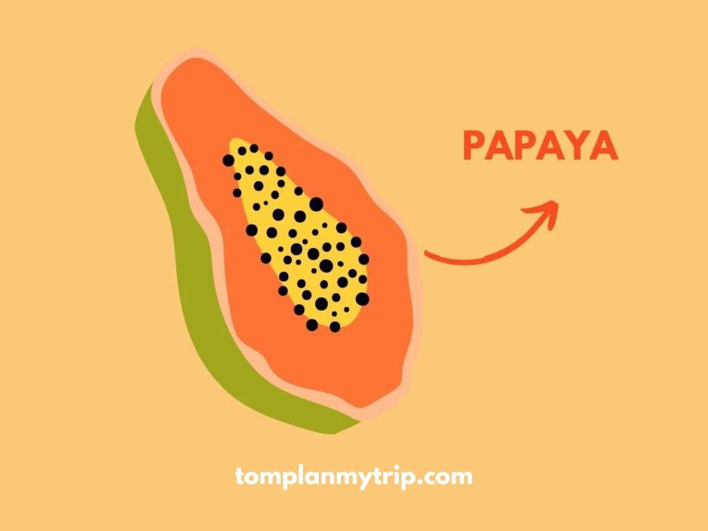 Papaya Fruit