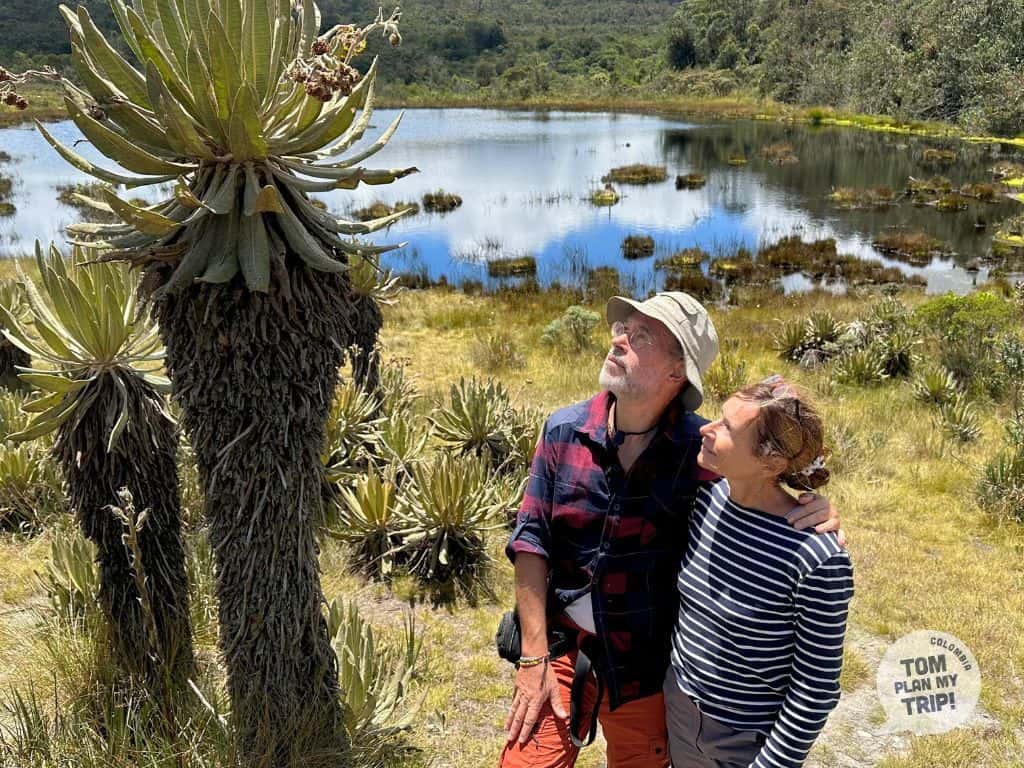 Paramo de Belmira Antioquia (1) (1)