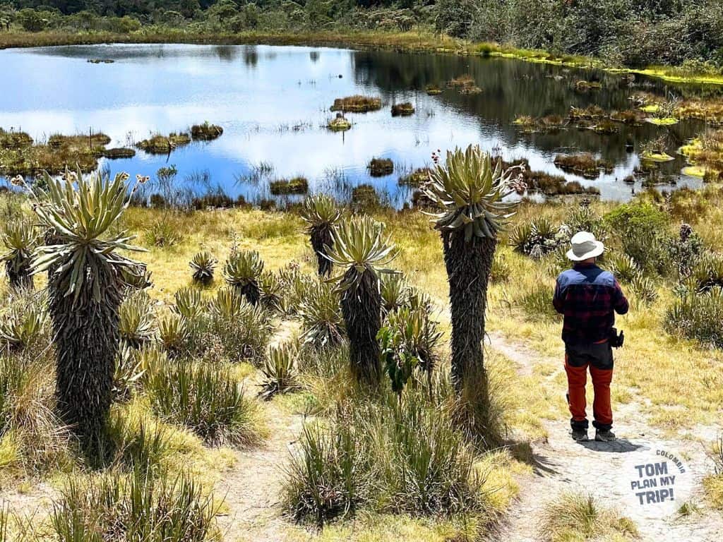 Paramo de Belmira Antioquia Colombia