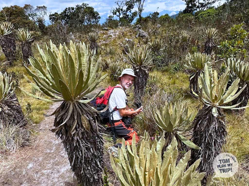 Paramo de Belmira Antioquia Colombia