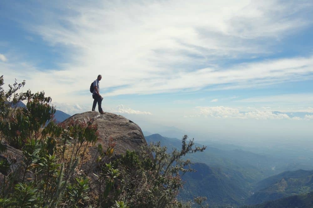 Pico loro Pance Cali