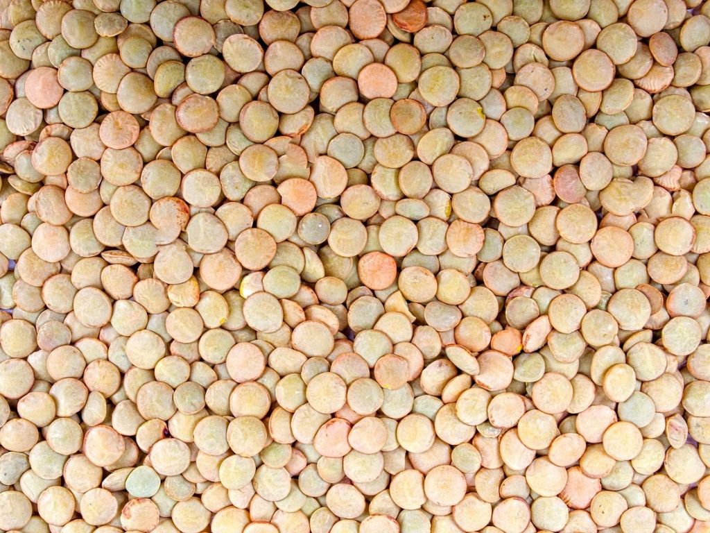 PixaB - lentils