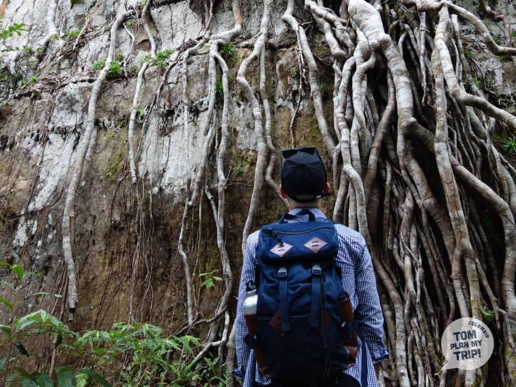 Puerta de Orion San Jose del Guaviare Amazon Gateway Colombia - Tom