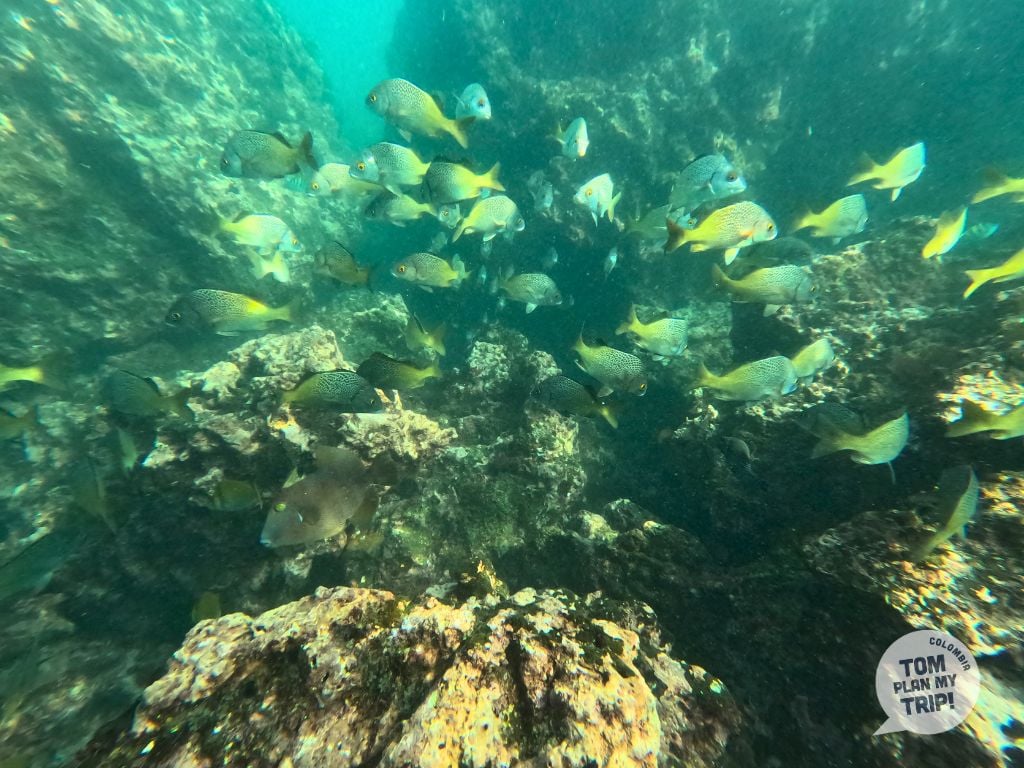Punta Brava Pacific Coast Colombia - Snorkeling