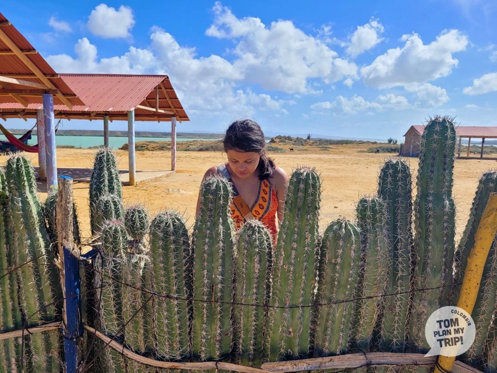 Punta Gallinas - La Guajira Desert Colombia - Eastern Caribbean Coast - Aleja