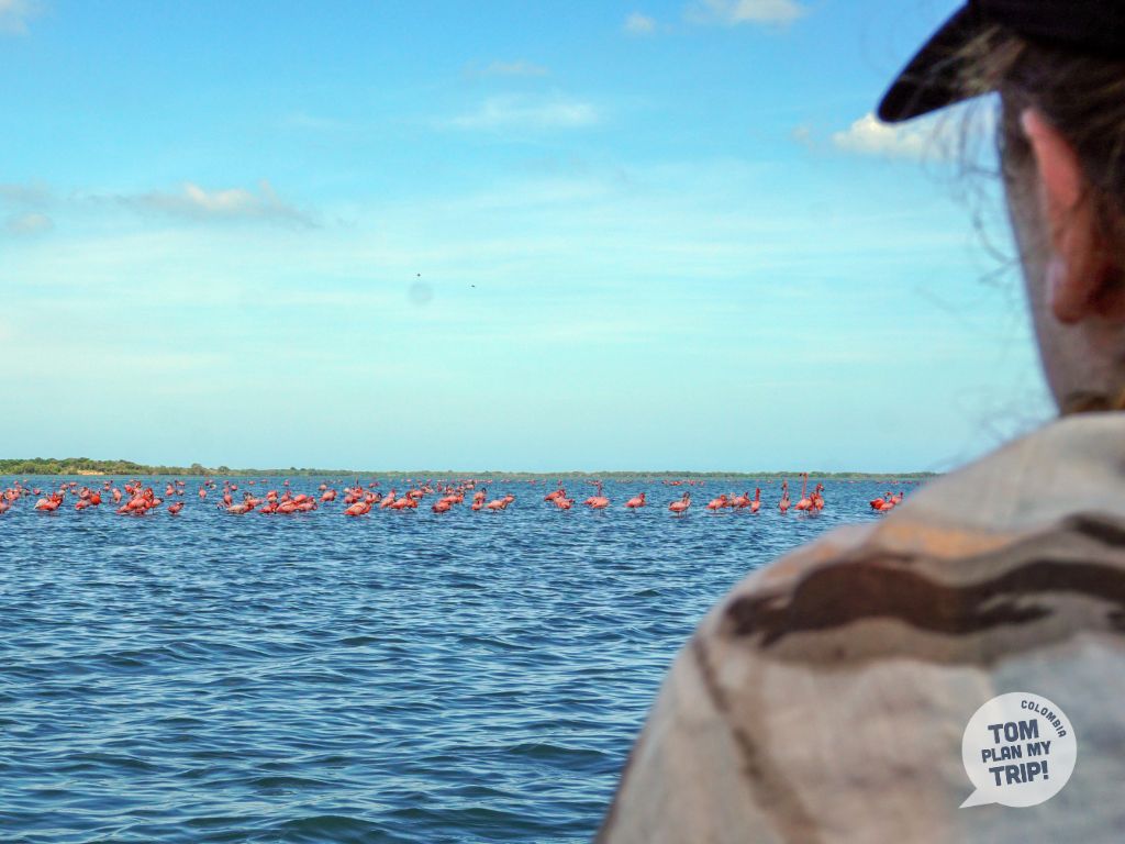 Santuario Los Flamencos Riohacha La Guajira Colombia - Eastern Caribbean Coast
