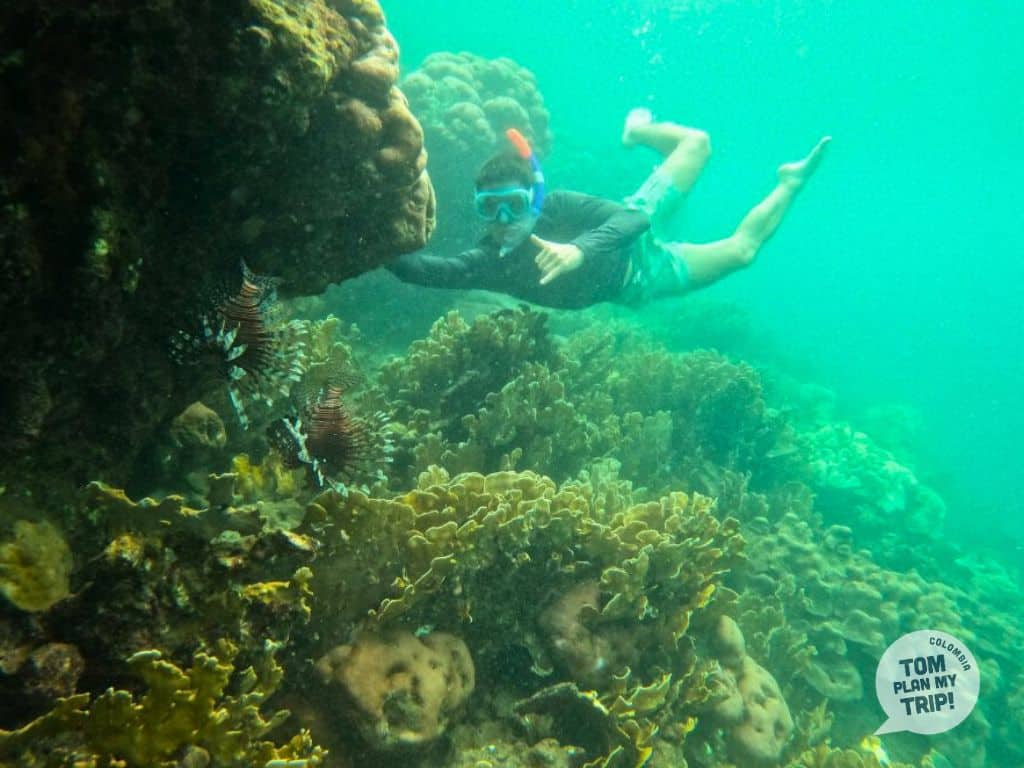 Adrien making Snorkeling - Playa Cinto in Tayrona Park - Santa Marta - Eastern Caribbean Coast - colombia