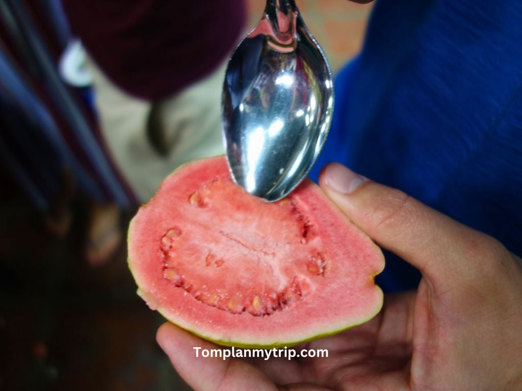 Spoon goyave fruit colombia