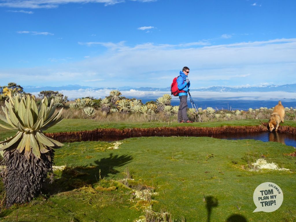Purace Paramo - Bogota and around - Adrien