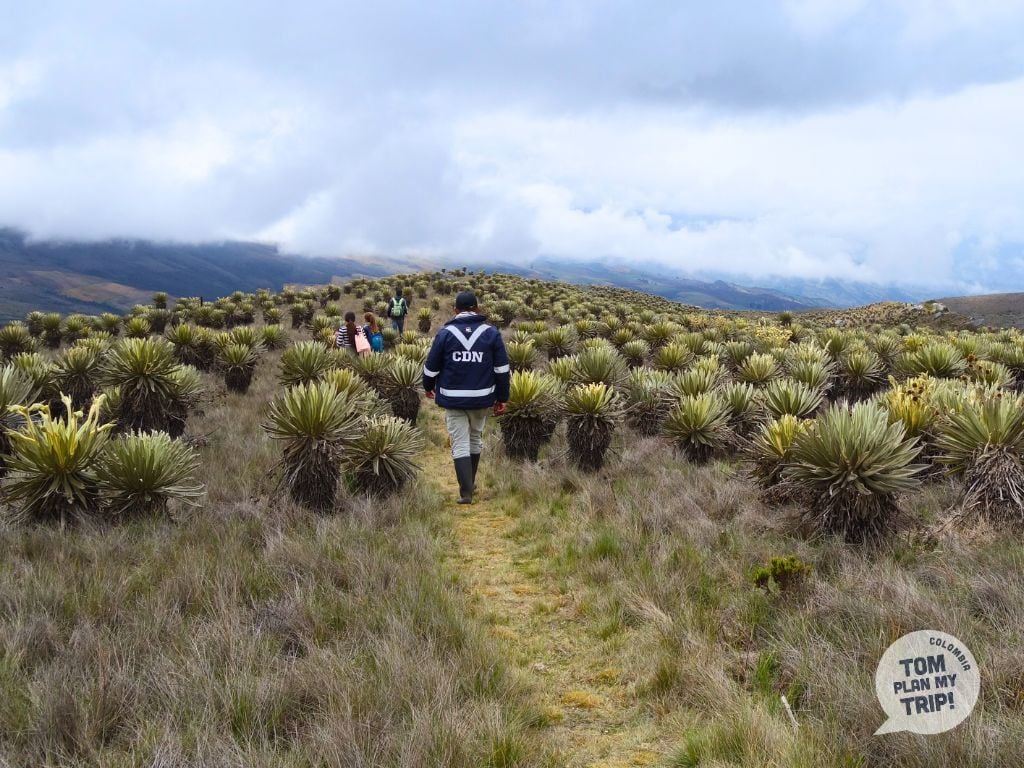 Sumapaz Paramo - Bogota and around