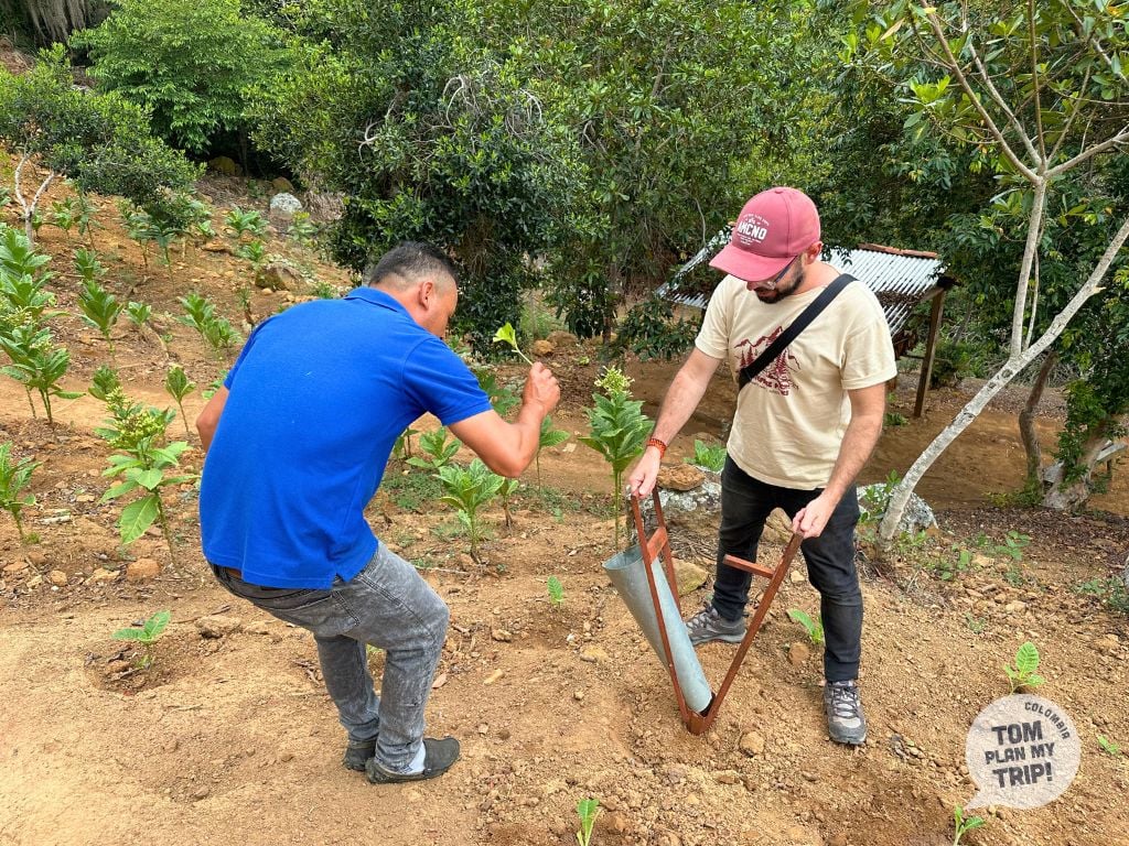 Tabaco Barichara Santander Colombia (1)