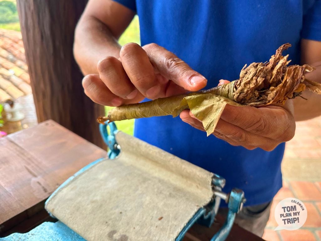 Tabaco Barichara Santander Colombia (6)