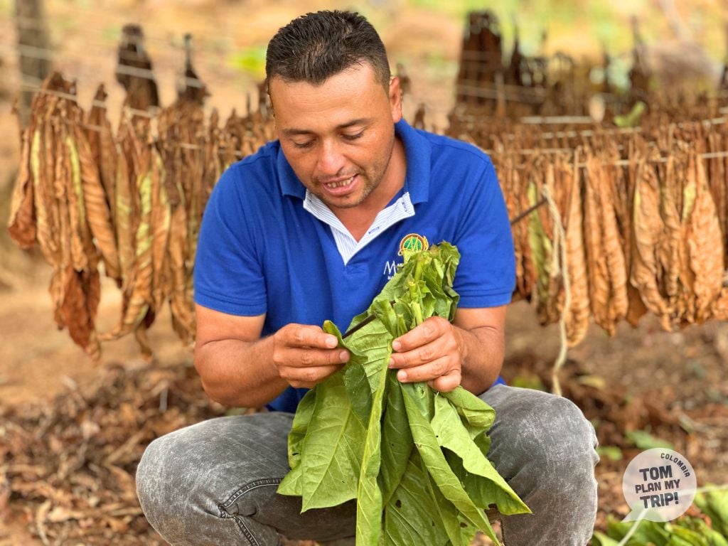 Tabaco Barichara Santander Colombia