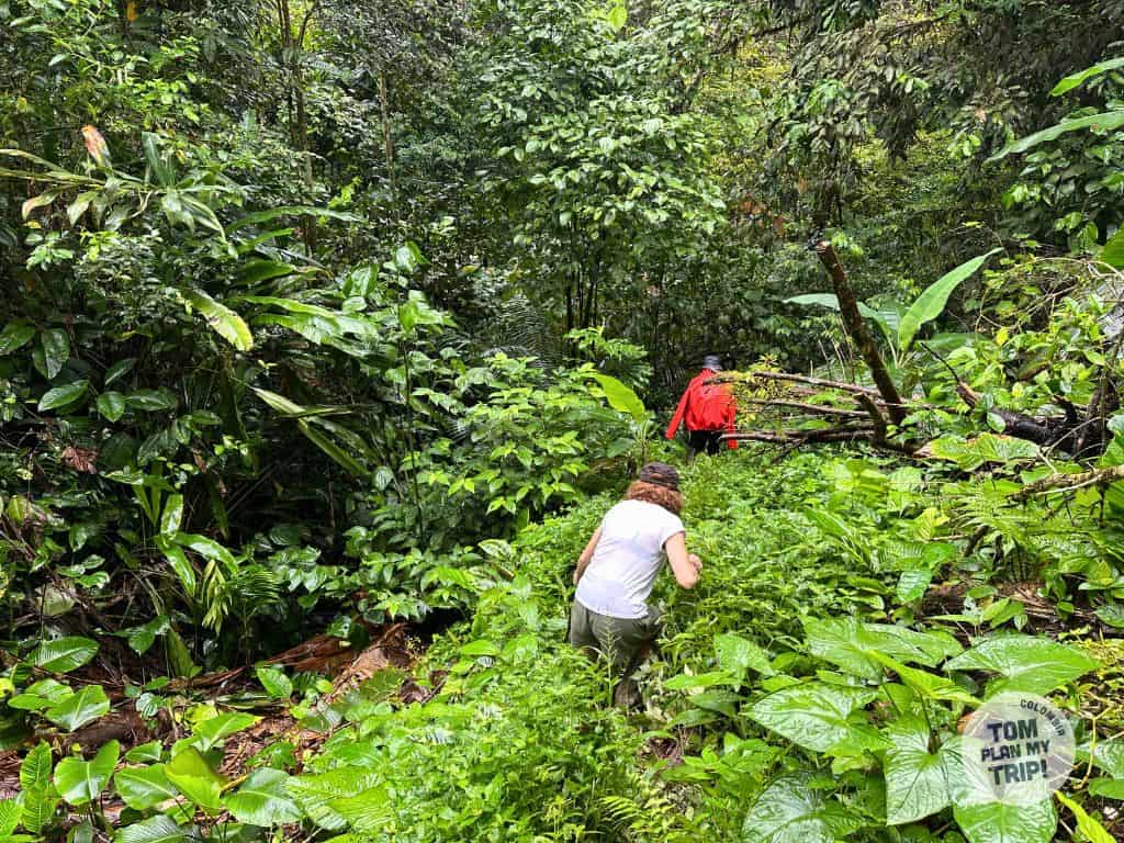 Termales Pacific Coast Colombia - Hike cuatro encantos (2) (1)