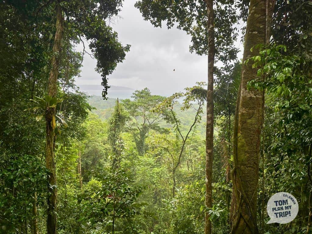 Termales Pacific Coast Colombia - Palo Blanco (10) (1)