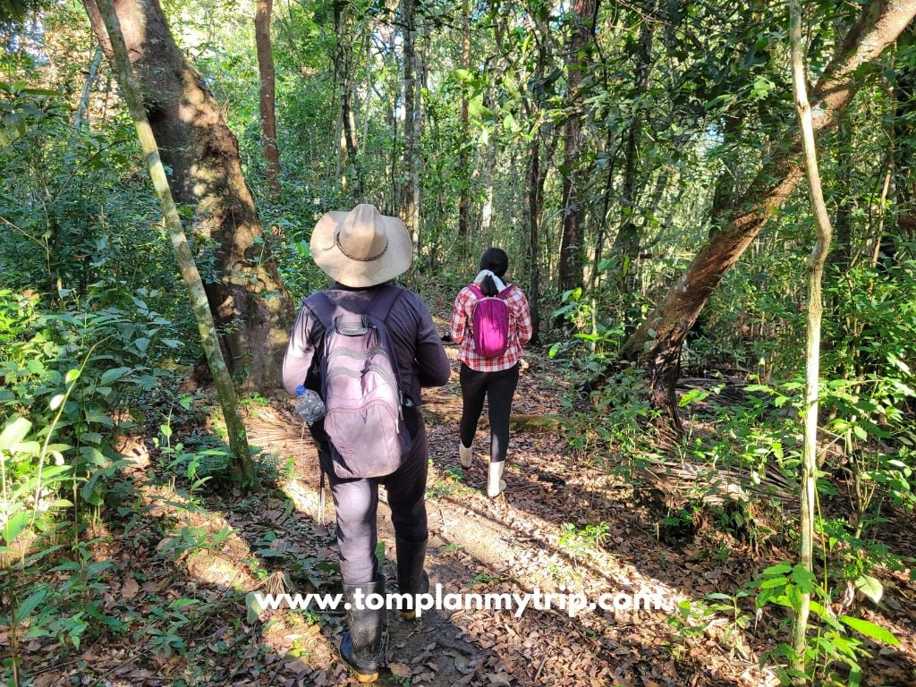 grove Altagracia-Los-Llanos-Orientales-Colombia-2-1