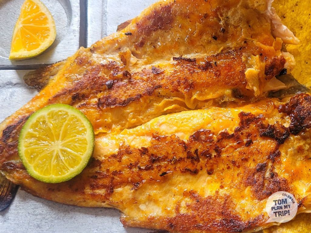 Trucha Fish Salento Coffee Region