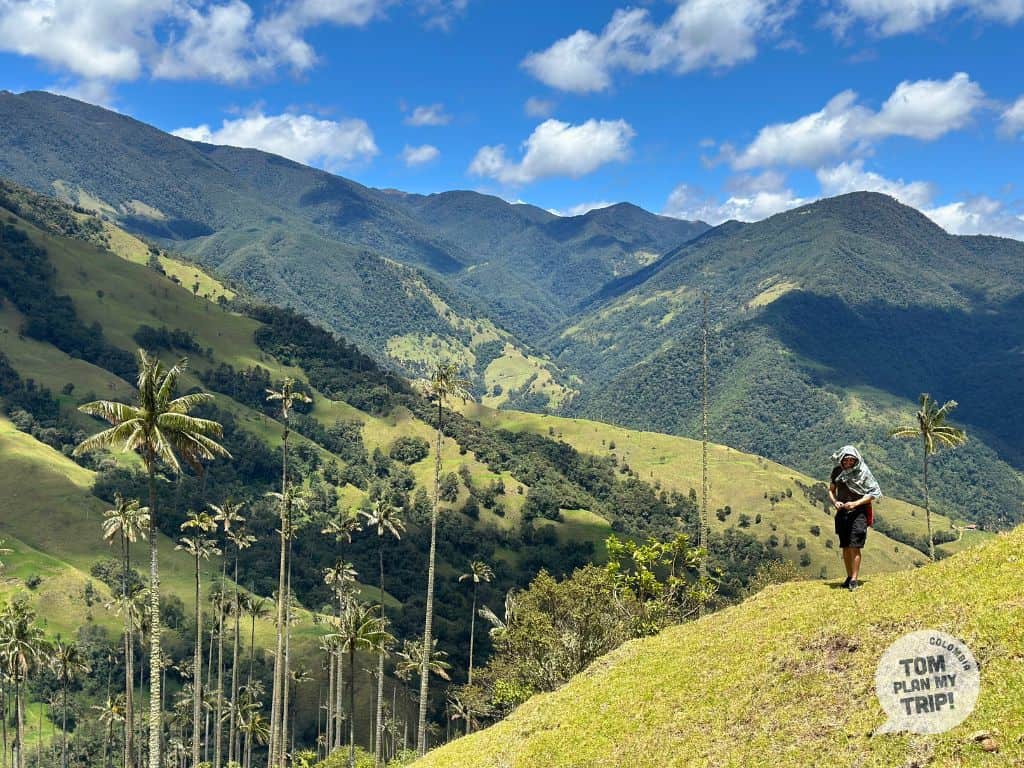 Tierra Fria experience Wax Palm Tree Pijao Zona Cafetera Colombia