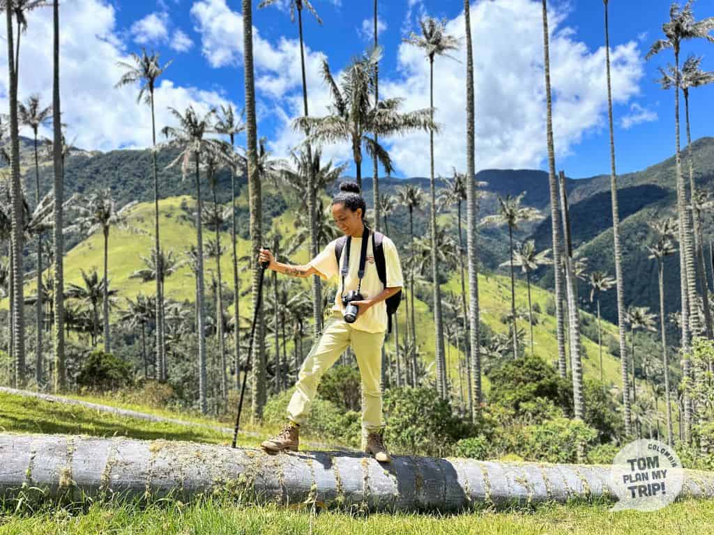 Tierra Fria experience Wax Palm Tree Pijao Zona Cafetera Colombia