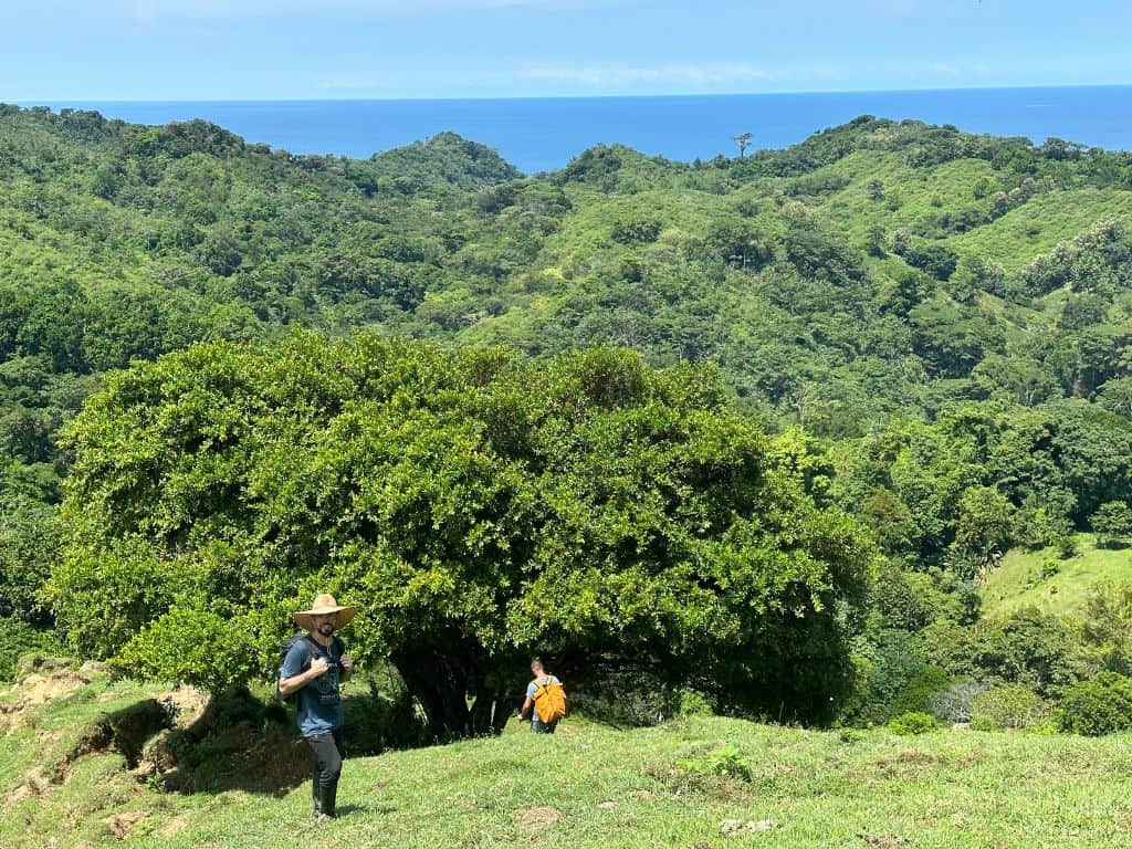 West Caribbean Coast - Trigana - Sasardi hike - mirador