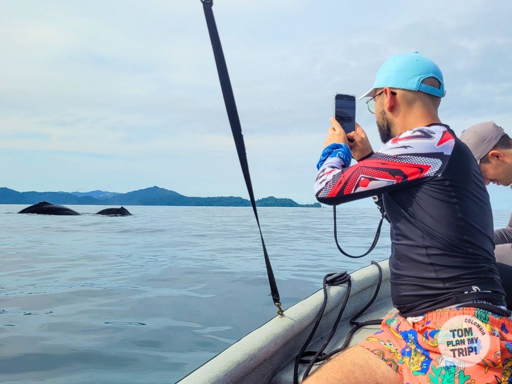 Whales Tour Bahia Solano Pacific Coast Colombia - Tom