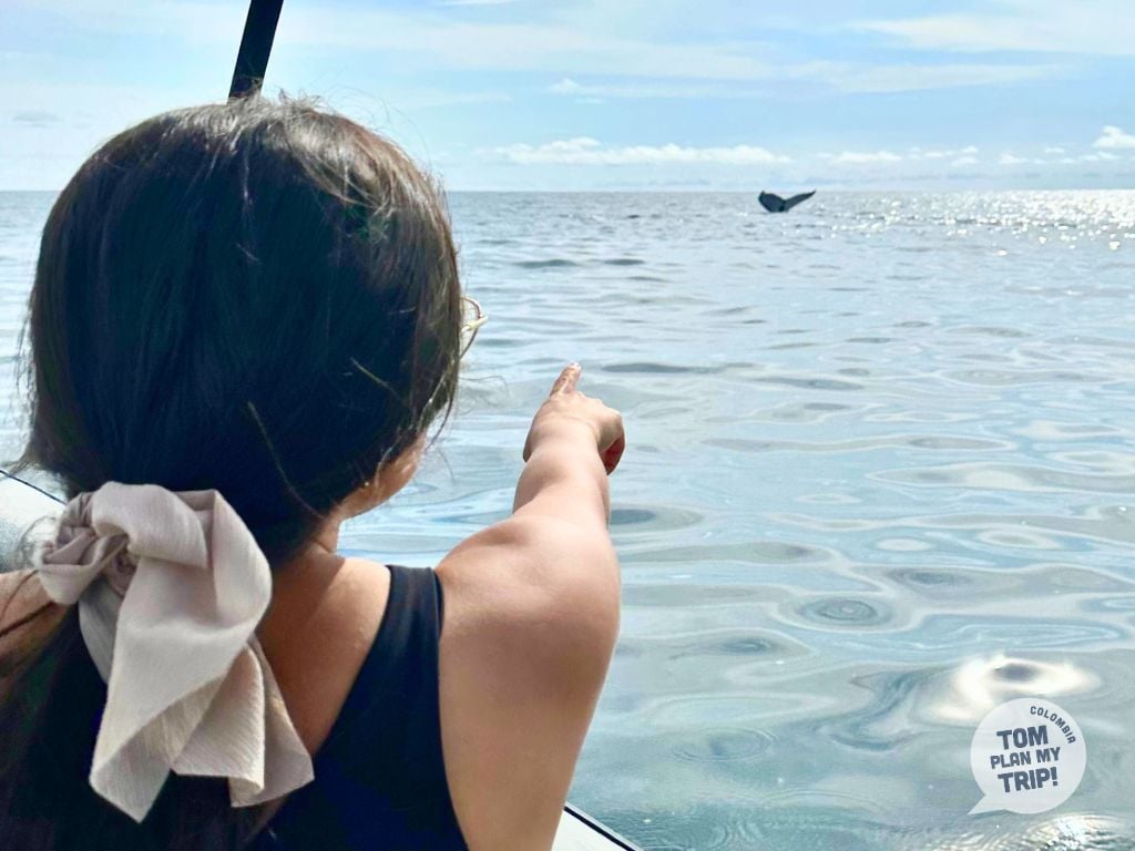 Whales tour - Bahia Solano Pacific Coast Colombia