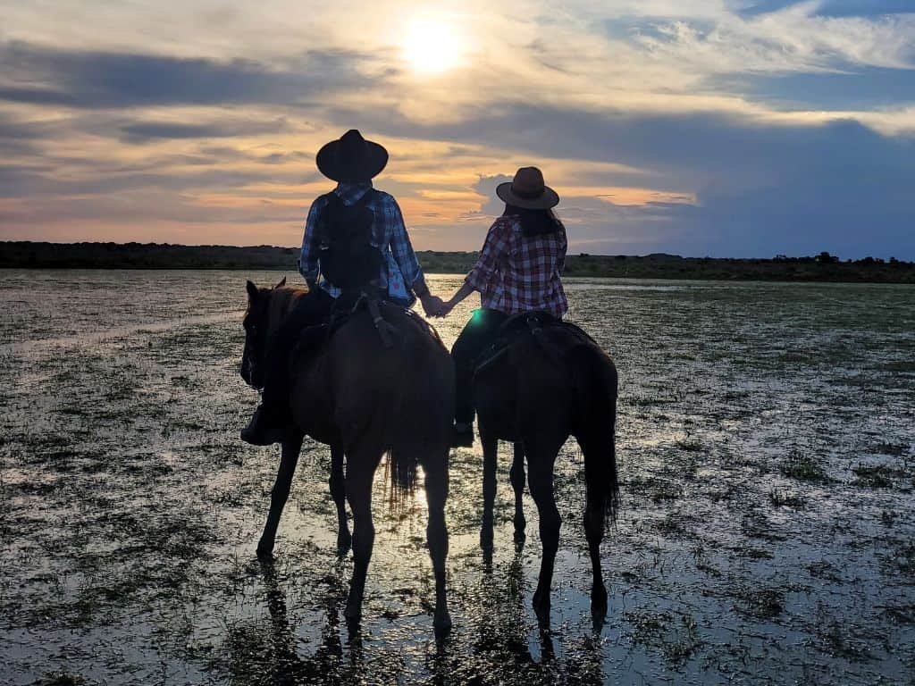 Horse sunset - Encanto reserve - Yopal - Los Llanos - Colombia - Tom and Aleja