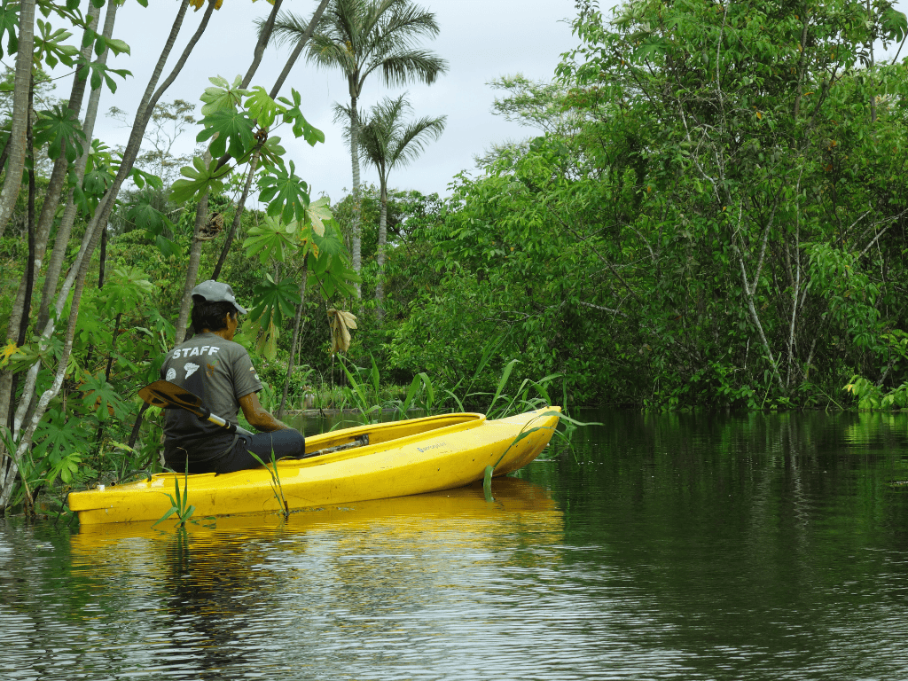Amazon - Palmari - kayaking in the flooded jungle