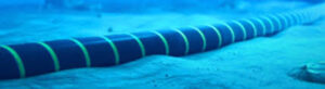 Atlantic CAM project