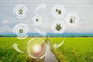 Agriculture field with high technologies and innovations in agro-industry.